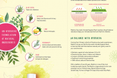 DNA -Jacket-Back- 33cm(w) x 52cm(h)